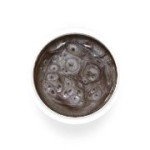 Exquisite Nail Systems - Biscotti Colored Gel