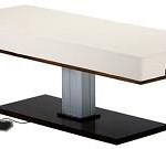 Living Earth Crafts Pedestal Flat Massage Top Electric Lift Table
