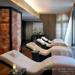 LEC NuWave Lounger - Salt Room Edition 7 Living Earth Crafts NuWave™ Lounger Salt Room Edition 1