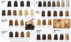 Terme Professional Hair Color 2