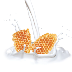 Cuccio Sea Salt Scrub Gallon Milk & Honey Smoothing Exfoliant Scrub (Step 2) - Gallon