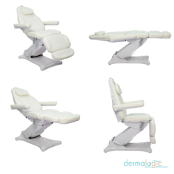 BENTON ELECTRIC Multi Purpose Chair 1