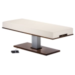 Living Earth Crafts Pedestal Flat Massage Top Electric Lift Table