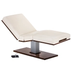 Living Earth Crafts Pedestal Massage Top Electric Lift Table