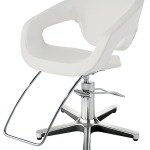 TAKARA BELMONT ST-M30 STRIP TEASE STYLING CHAIR