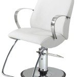 TAKARA BELMONT ST-N30 LIONESS STYLING CHAIR