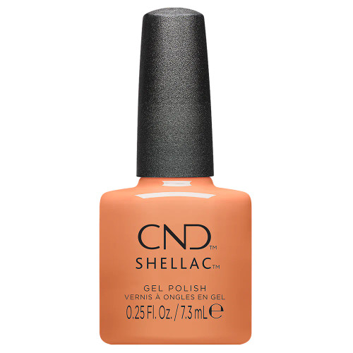 CND Shellac Gel Polish Across The Mani-verse Spring 2024 Collection – Daydreaming