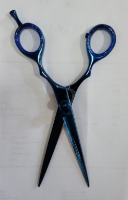 David & Matthew 6.5 Cutting Shear – Blue