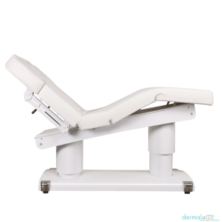 Belvedere Electric Med Spa Treatment Table 12