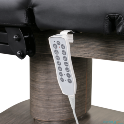 Belvedere Electric Med Spa Treatment Table 9