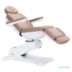 Remi Electric Spa Treatment Table 4 motors