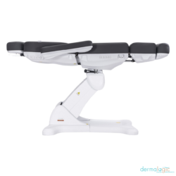 Remi II Electric Spa Treatment Table 4 motors 8