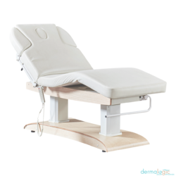 Seville Electric Med Spa Treatment Table 3 motors