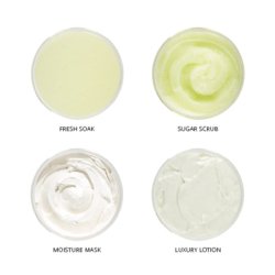 Qtica Cactus Blossom 4 Step System Smart Pods