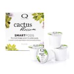 Qtica Cactus Blossom 4 Step System Smart Pods